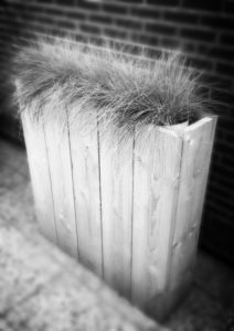 Plantenbak